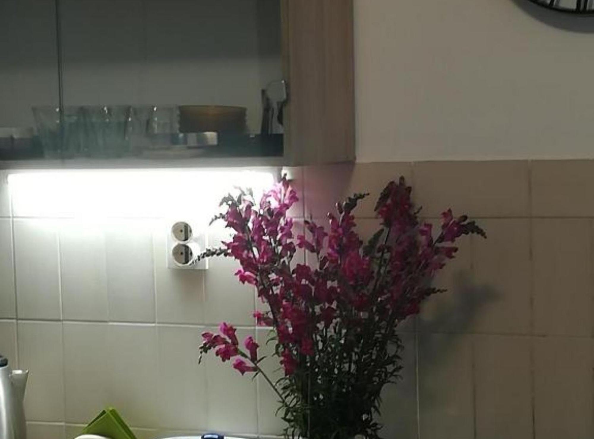 Apartman Olymp Osijek-Garaza Exteriér fotografie