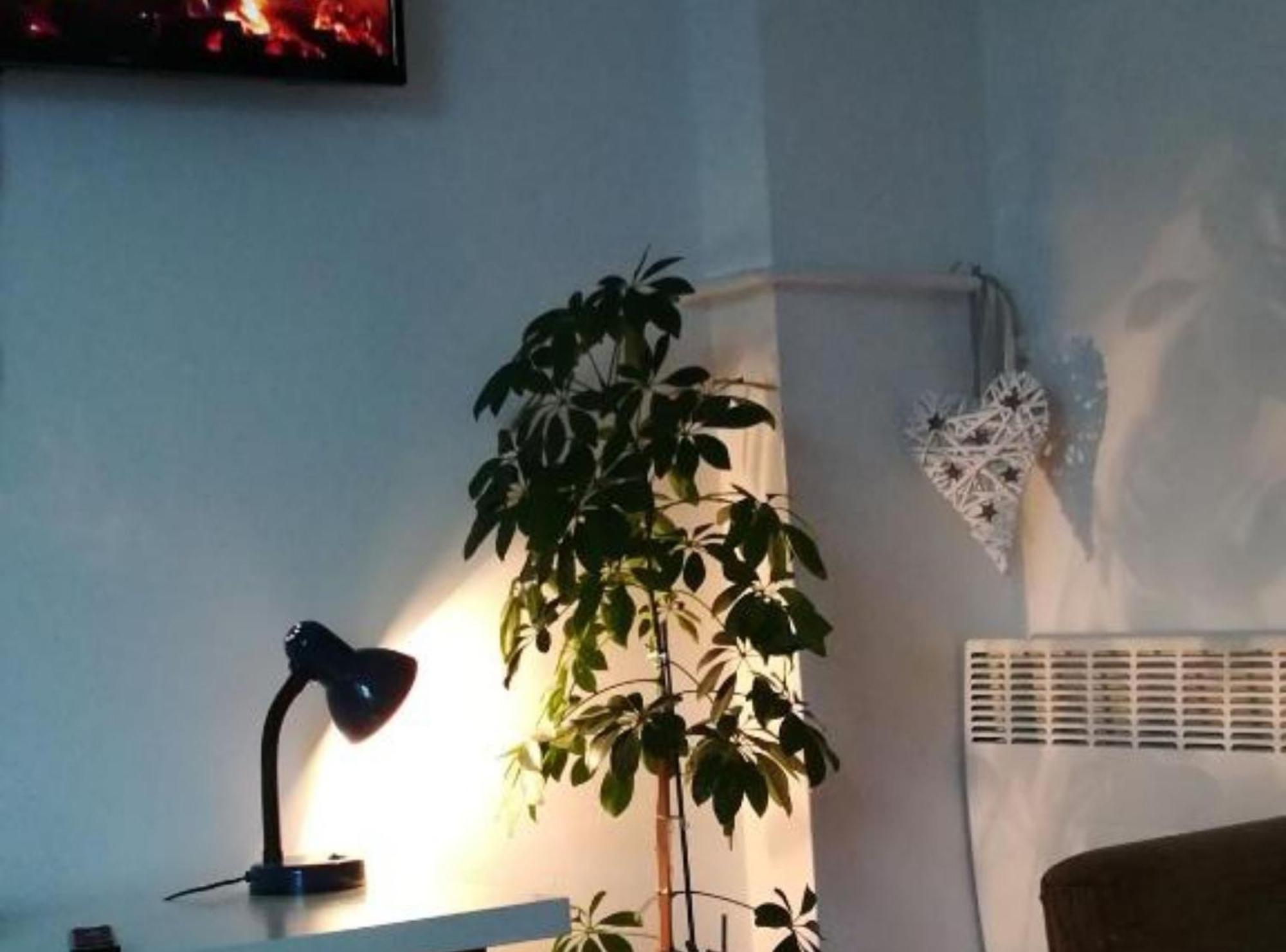 Apartman Olymp Osijek-Garaza Exteriér fotografie